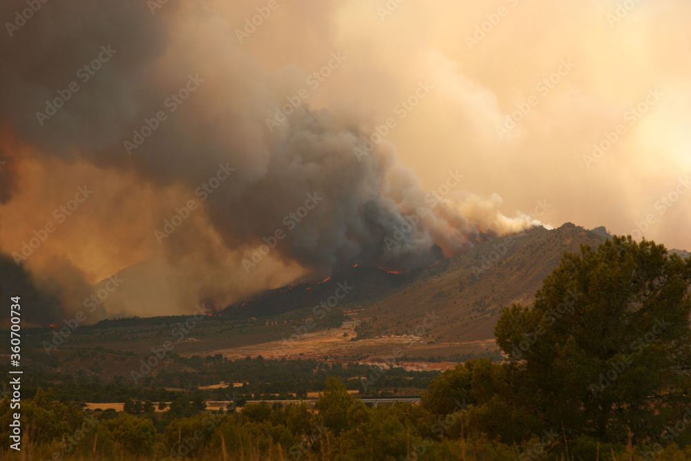 Incendio forestal, 1 de julio de 2012, Hellín-Albacete-España