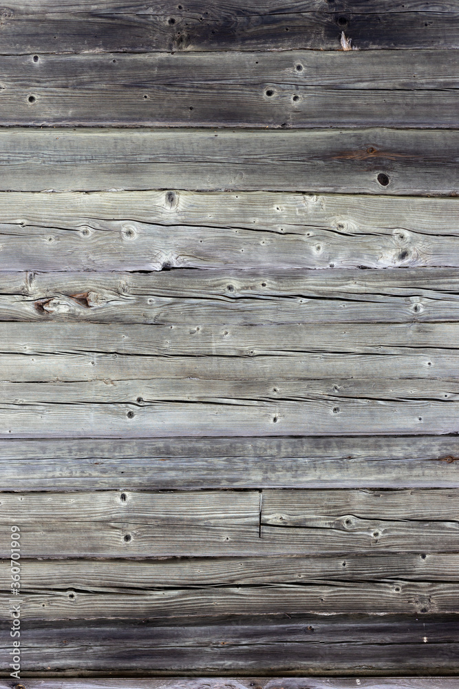 Obraz premium Wooden wall made of gray logs.