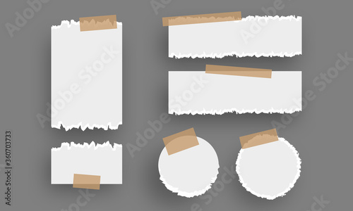 Ripped paper sheet vector