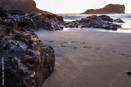 Secret Beach, Oregon photo