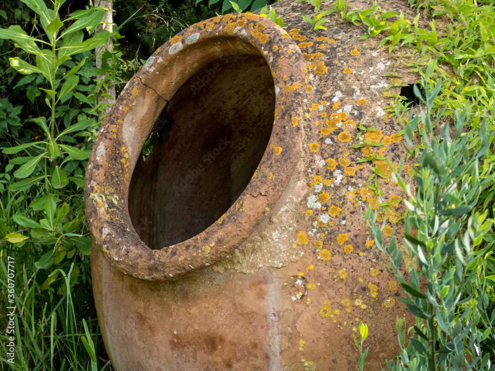 Old big ceramic pot, jug in overgrown old park.Ivy plants around. Old big ceramic pot, jug in overgrown old park.Ivy plants around.