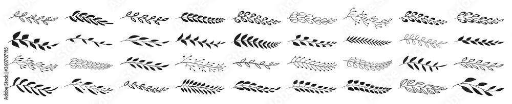 Set of black laurels branches. Flower ornament dividers collection. Vintage laurel wreaths. Hand drawn vector laurel leaves decorative elements. Leaves, swirls, award, icon. Vector illustration. Set of black laurels branches. Flower ornament dividers collection. Vintage laurel wreaths. Hand drawn vector laurel leaves decorative elements. Leaves, swirls, award, icon. Vector illustration.