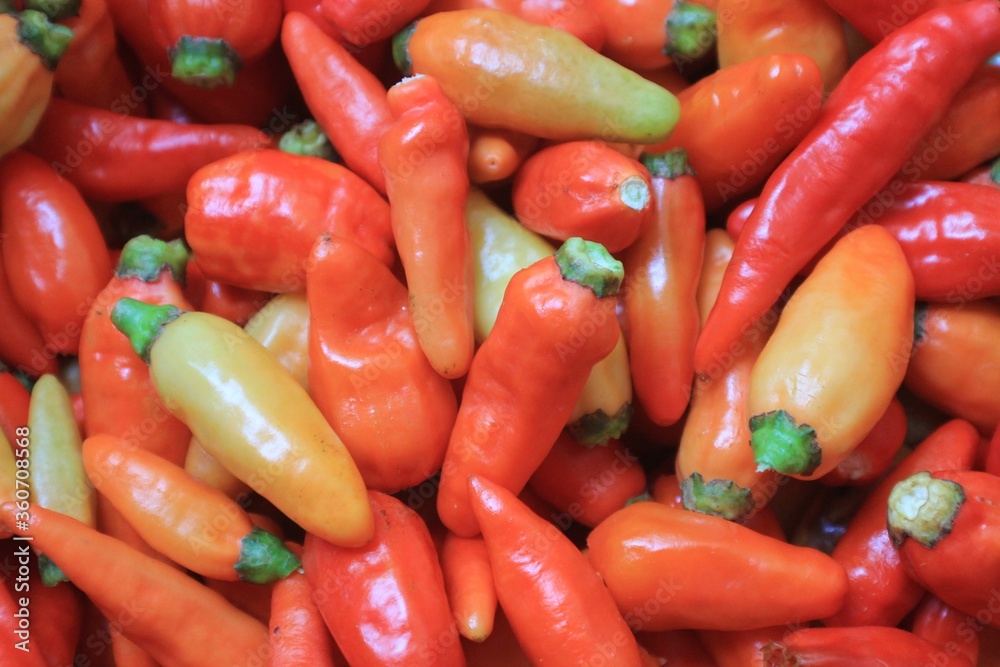 Red Hot Chili Peppers from Indonesia
Red Hot Chili Peppers from Indonesia