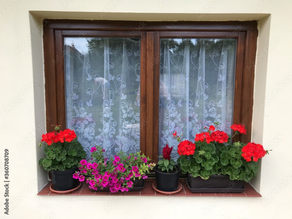 Window Decorated with Natural Flowers