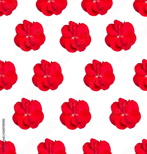 Seamless pattern with red geranium flowers on a white background. Design for packaging, fabric, wallpaper, napkins, textiles and backgrounds.