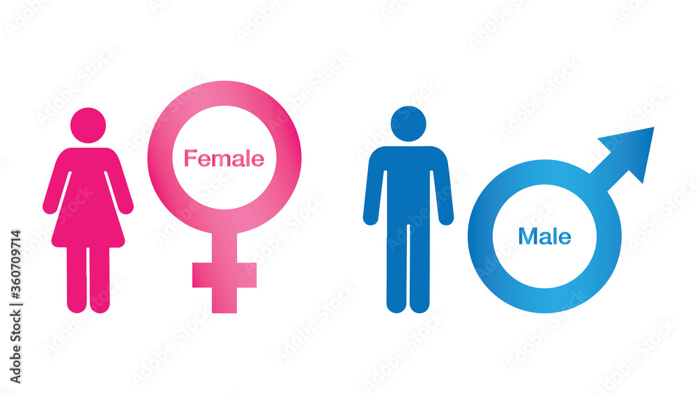 Vector illustration of gender icon man and woman. Sex symbol. Gender icon male and female symbol. Gender symbol pink and blue icon Vector illustration of gender icon man and woman. Sex symbol. Gender icon male and female symbol. Gender symbol pink and blue icon
