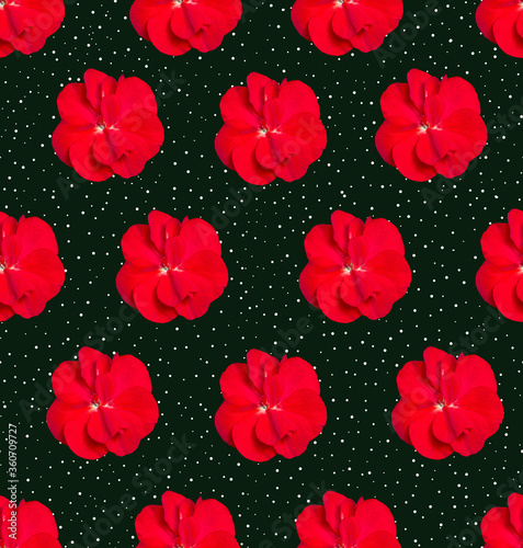 Seamless pattern with red geranium flowers. Design for packaging, fabric, wallpaper, napkins, textiles and backgrounds.