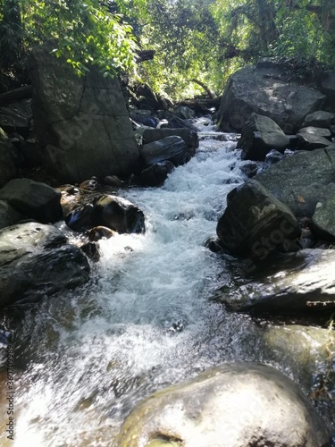 white brook among stones
