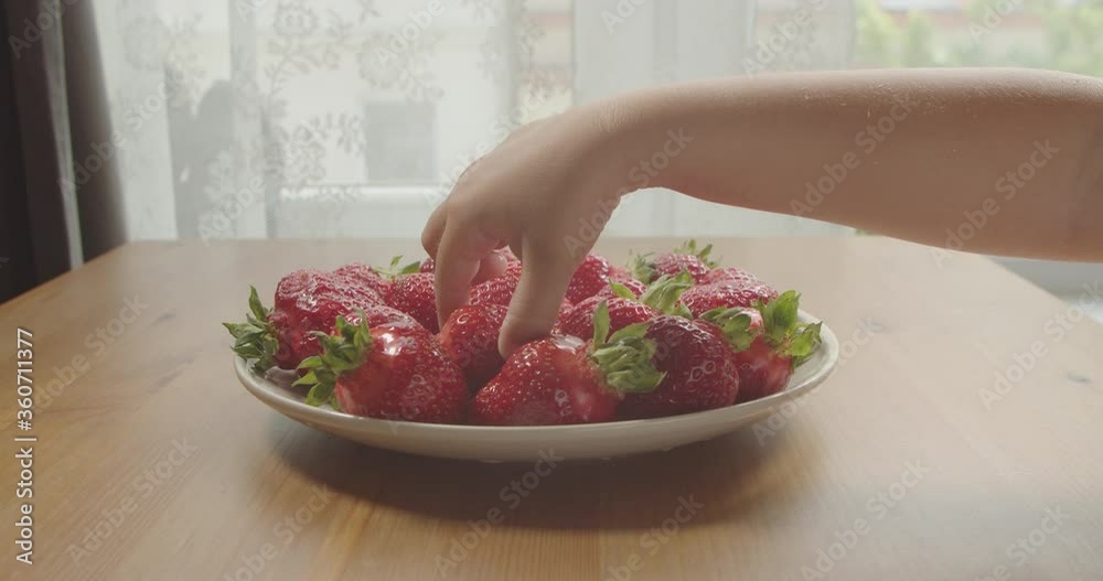 Hand of a small girl picks strawberries in a ceramic bowl on a wooden table in the room. Little Girl Hand Picks Strawberries from a Plate on a Wooden Table in the Team at the Window. Hand of a small girl picks strawberries in a ceramic bowl on a wooden table in the room. Little Girl Hand Picks Strawberries from a Plate on a Wooden Table in the Team at the Window.