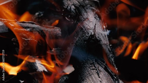 Burning firewood in a fire. Bonfire close-up.