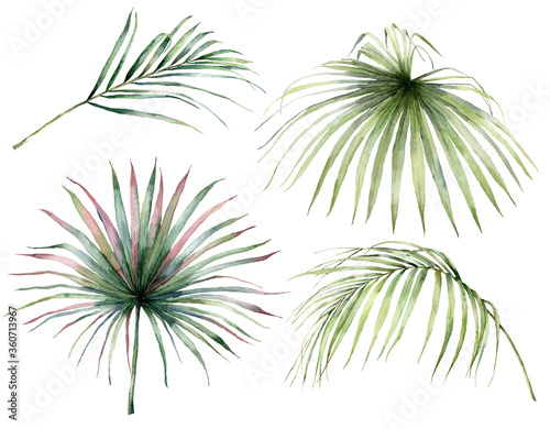 Watercolor tropical set with palm leaves. Hand painted exotic branches isolated on white background. Floral illustration for design  print  fabric or background. Jungle template.