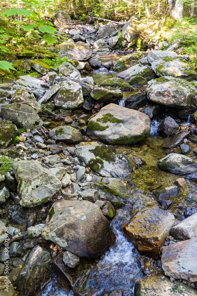 moss covered rocks by stream in the forest
