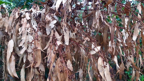close up of a pile of firewood
