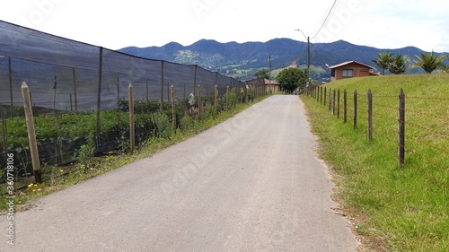 road in the mountains