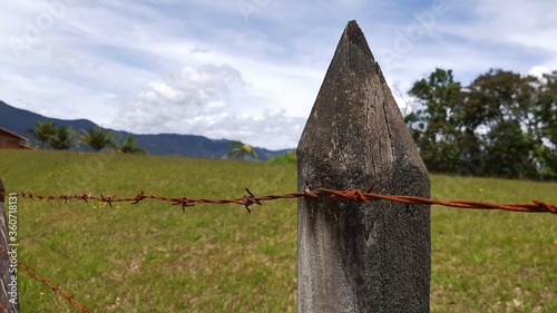 barbed wire fence