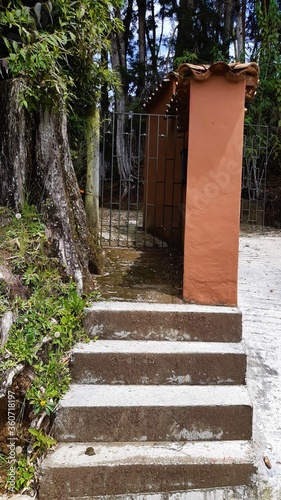 wooden gate in the park