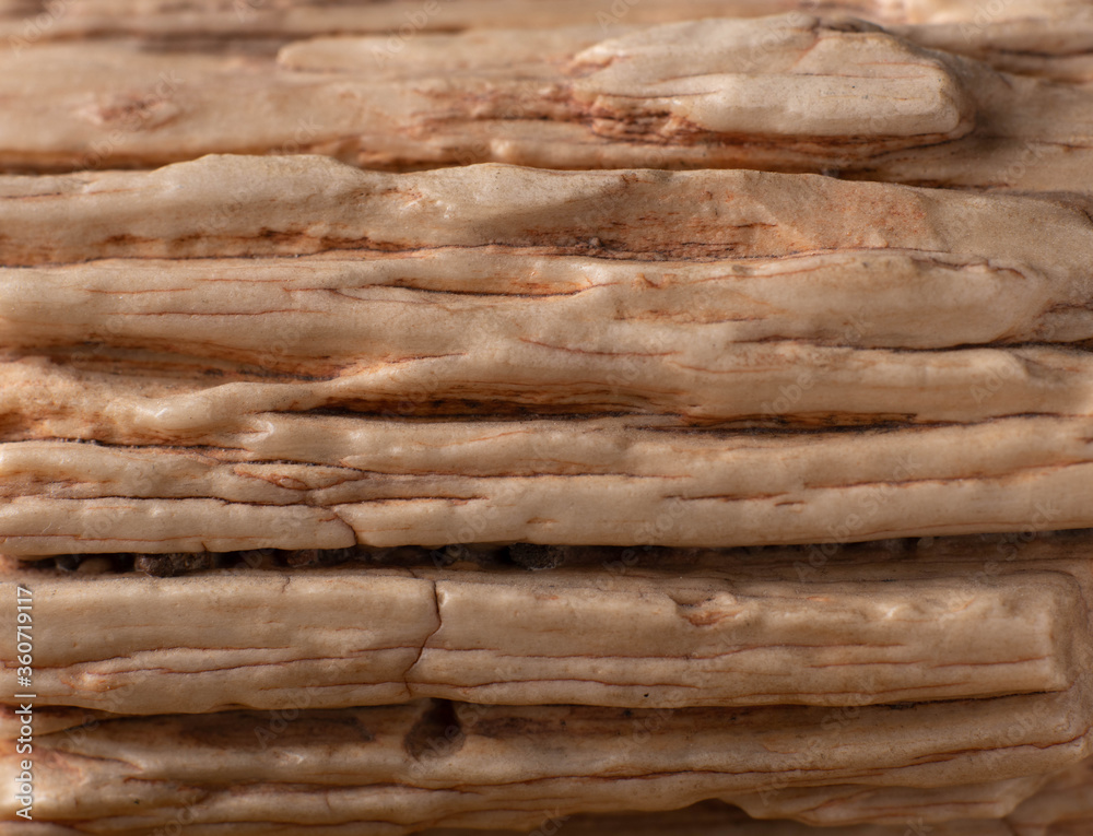 Log-84 Log-84