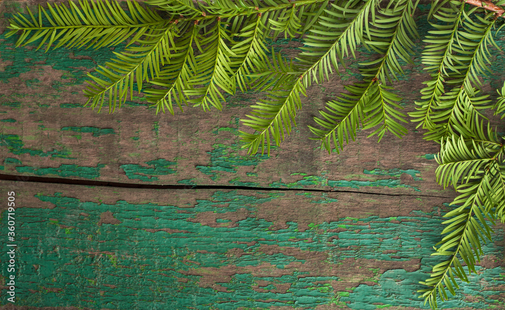 Fresh green fir branch, pine, fir-tree. Christmas background, New Year Vintage decoration on wood, wooden background, flat lay, close up, copy space for text, wallpapers Fresh green fir branch, pine, fir-tree. Christmas background, New Year Vintage decoration on wood, wooden background, flat lay, close up, copy space for text, wallpapers