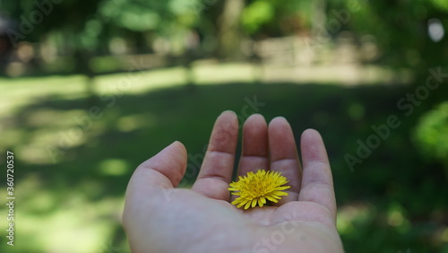 flower in hand