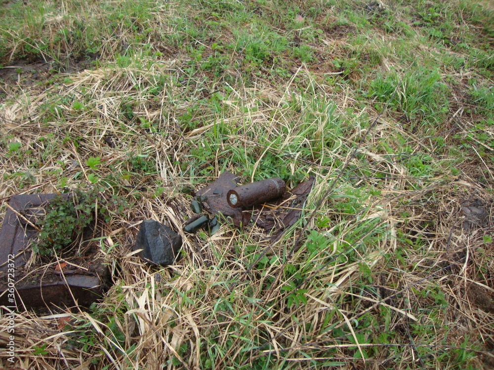 Obraz premium Military excavations near Novgorod the Great, Russia, 2011 (156)