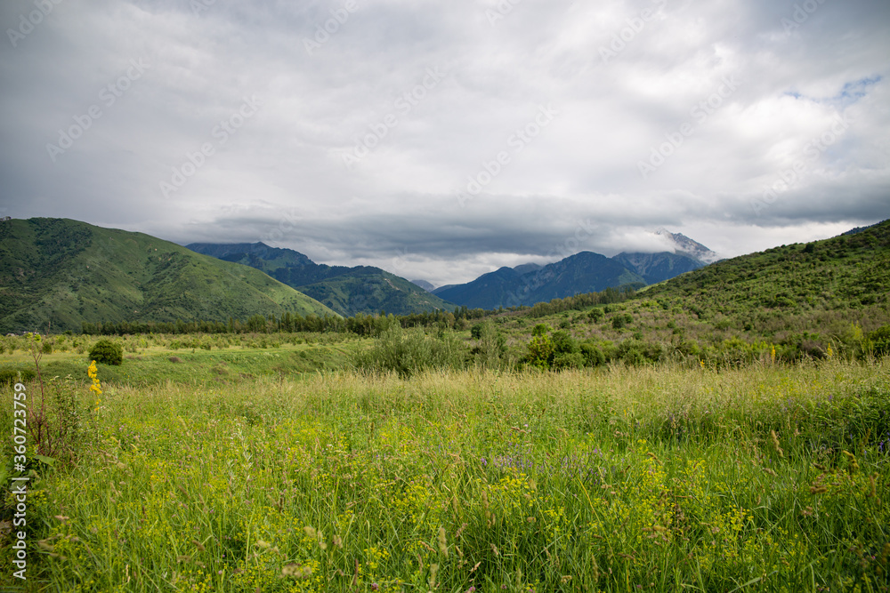 mountain landscape on a cloudy day on a background of green grass