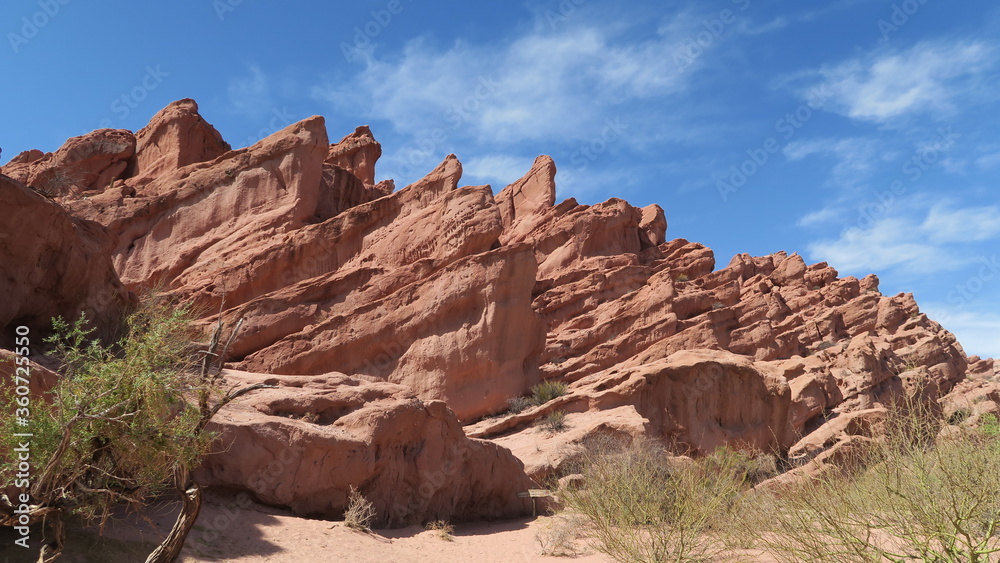 Fototapeta premium Tree with stone formation in Cafayate, Argentina