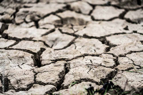 dry cracked earth