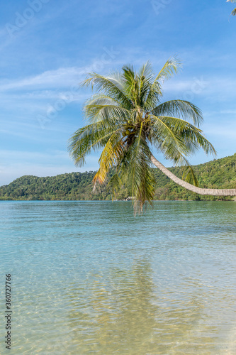 palm trees on the beach, Koh Mak beach, Koh Mak Island , Thailand.