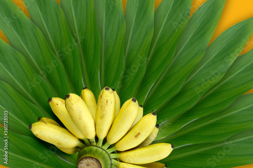 banana and leaf on a yellow background