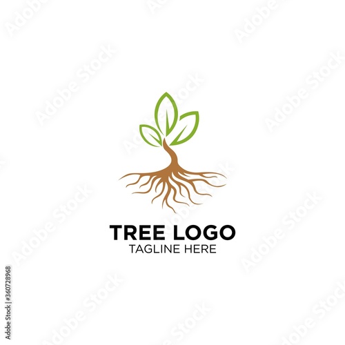 Tree With Root Logo Design