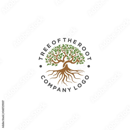 Tree With Root Logo Design