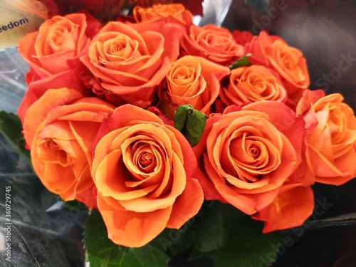Close-up Orange Rose Flowers Bouquet
