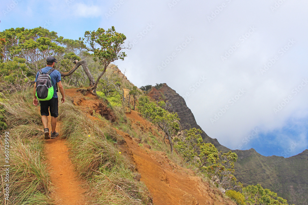 Obraz premium Napali coast in Kauai, Hawaii - Kalepa Ridge trail. View on the back of man hiker / backpacker walking on the steep dangerous cliff edge with the view on green lush valley in tropical paradise.
