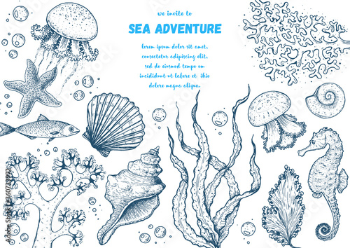 Underwater world hand drawn collection. Sketch illustration. Seaweed, coral, seashells, starfish, jellyfish, fish illustration. Vintage design template. Undersea world collection.