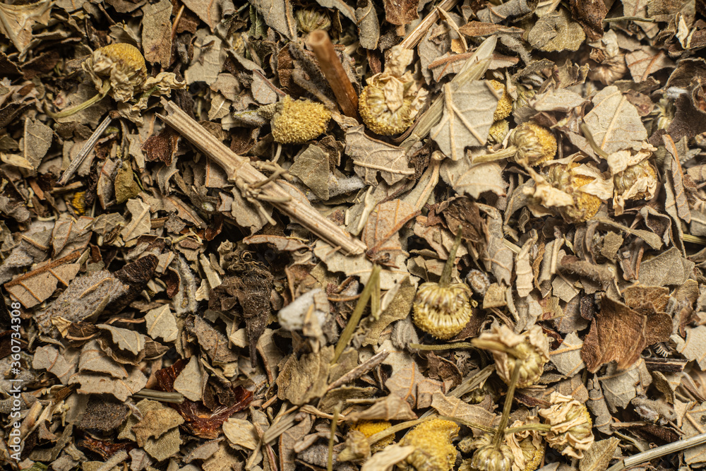 Macro from assorted tea leaves and fruits
Macro from assorted tea leaves and fruits
