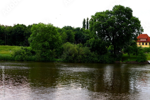 view from the river bank