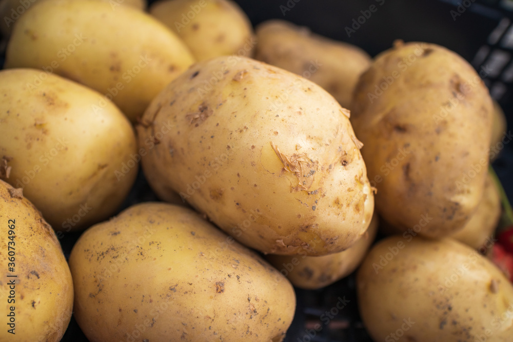 Bio organic young potatoes sold on market Bio organic young potatoes sold on market