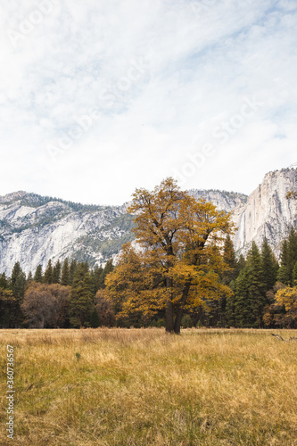 autumn landscape of Yosemite National Park  California