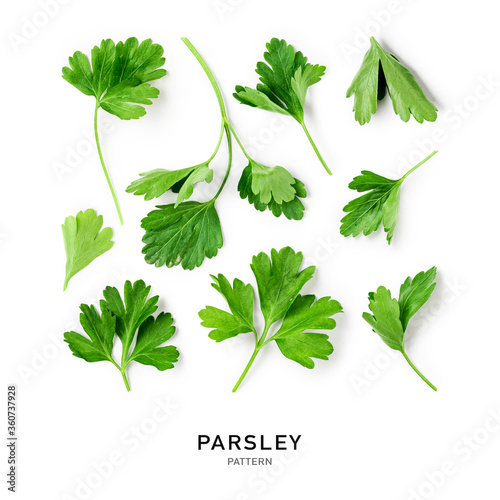 Fresh green parsley creative pattern