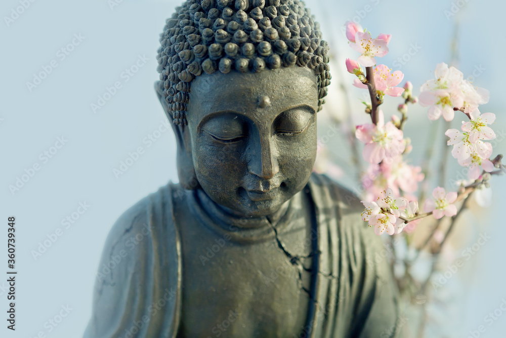 Buddha's head with blossom cherry branches