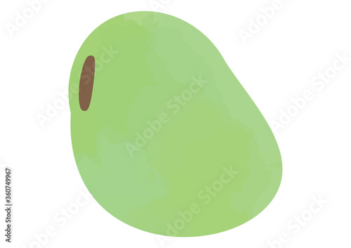 ソラマメのイラスト