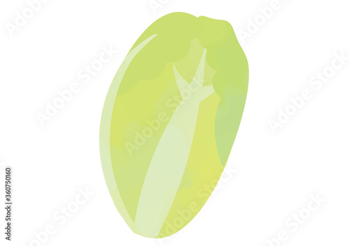 ハクサイのイラスト