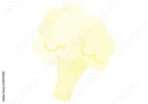 カリフラワーのイラスト