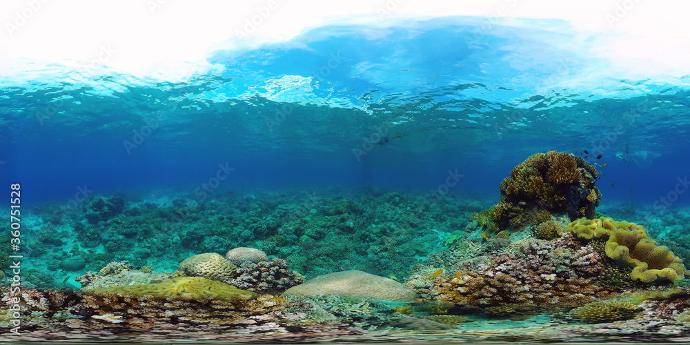 Underwater Scene Coral Reef 360VR. Tropical underwater sea fishes. Virtual tour 360. Panglao, Philippines.