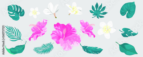 set of tropical palm leafs and flowers of plumeria and hibiscus vector