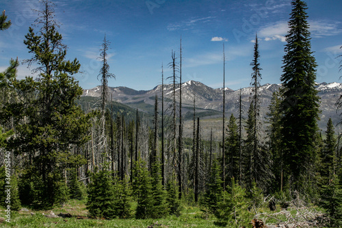 High mountain vista of forested and rocky ridges. Payette National Forest, Idaho.