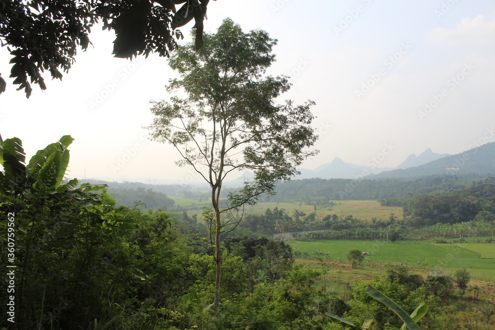 Fototapeta premium The view from the top of the mountains in West Java