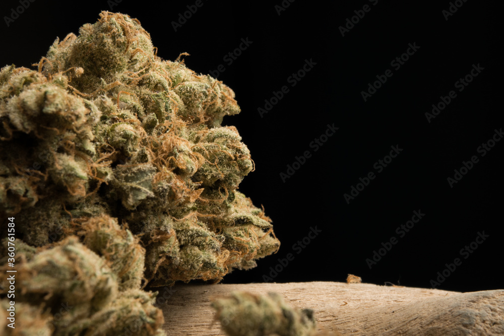 Obraz premium cannabis Black Background