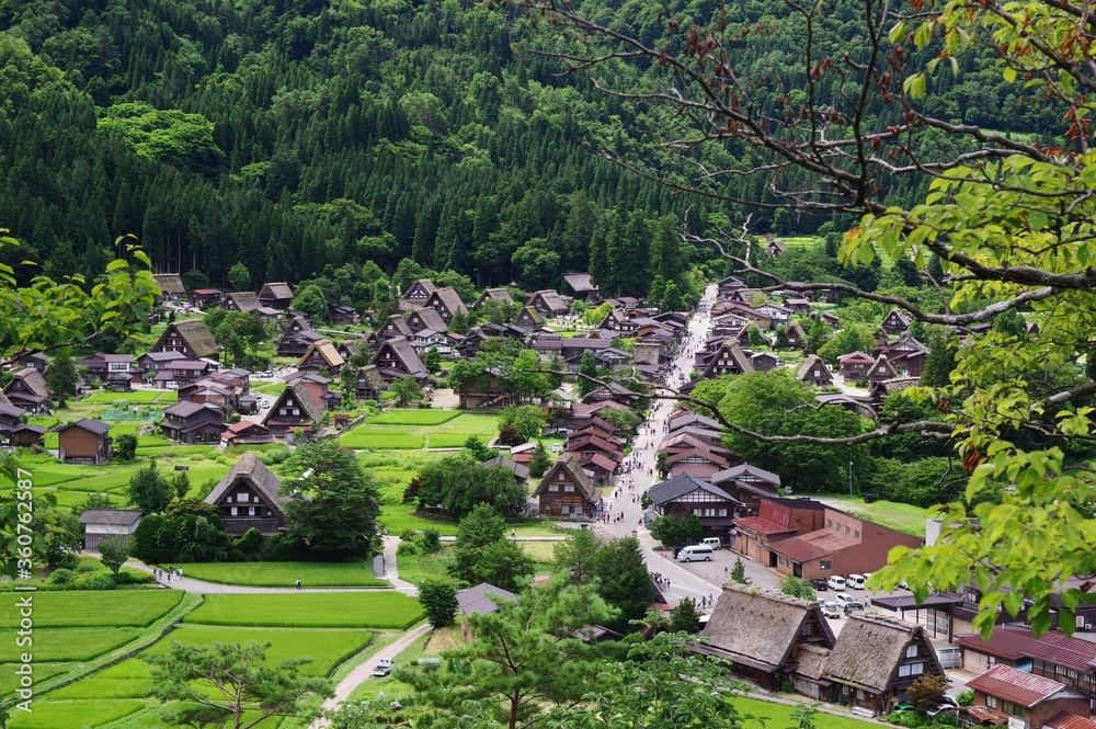 Shirakawago in summer, rural landscape in Japan, 白川郷　夏