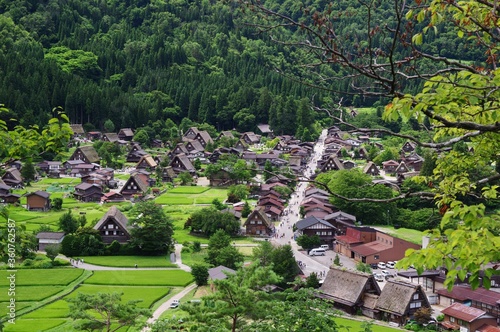 Shirakawago in summer, rural landscape in Japan, 白川郷 夏